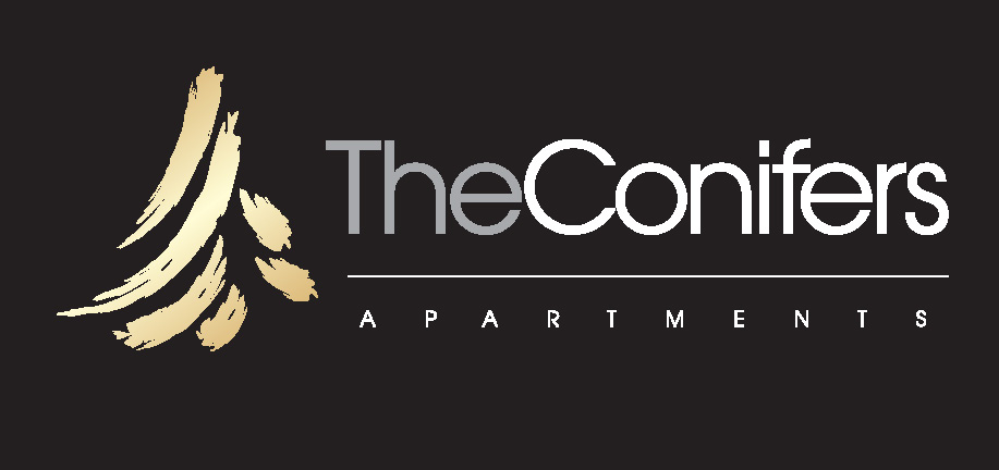The Conifers The Conifers